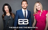 The Bold & The Beautiful